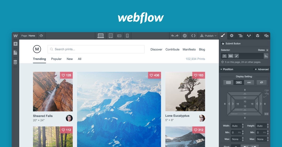 Freelancer and passive income-webflow